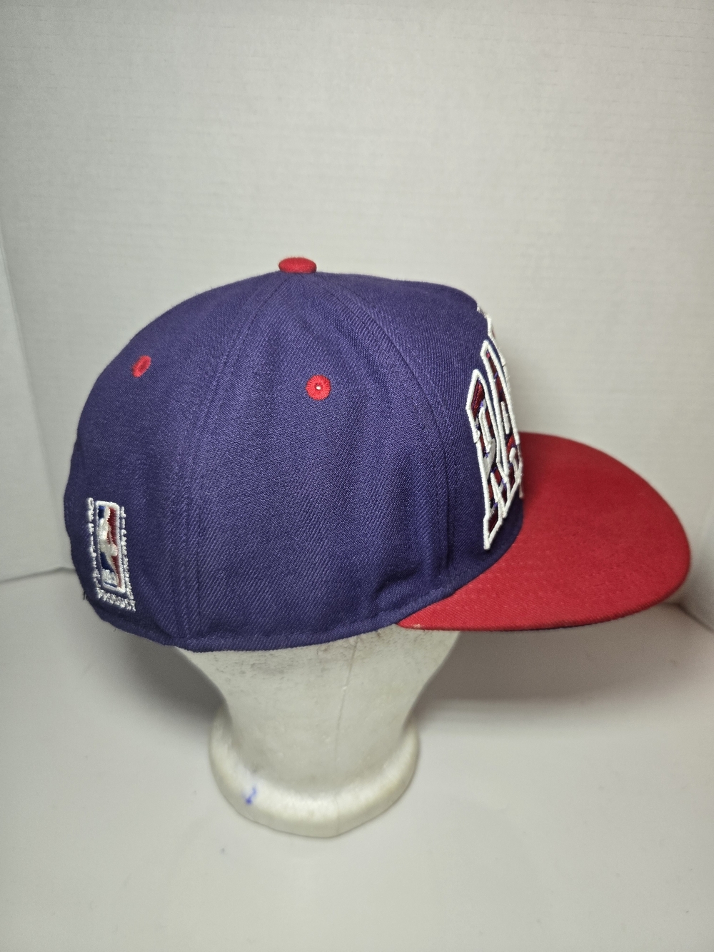 Toronto Raptors Two-Tone Snapback Hat - Picture 2 of 5